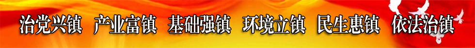治党兴镇.jpg